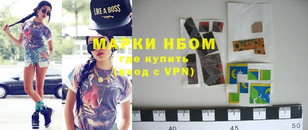 прущие грибы Аркадак