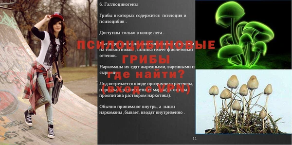 прущие грибы Аркадак