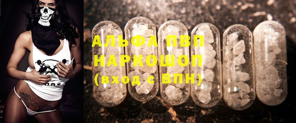 прущие грибы Аркадак