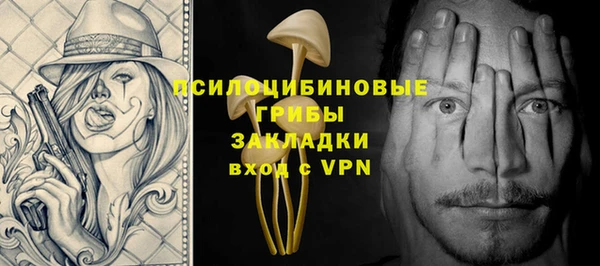 прущие грибы Аркадак