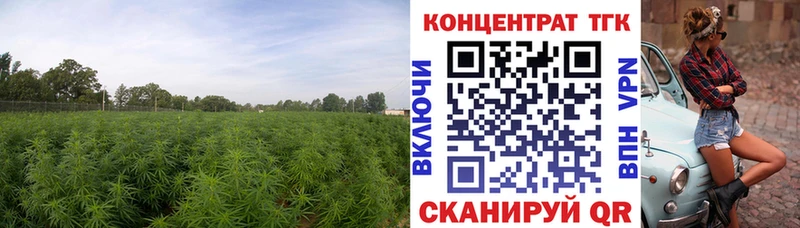 Дистиллят ТГК гашишное масло  Купить закладки  Ялта 