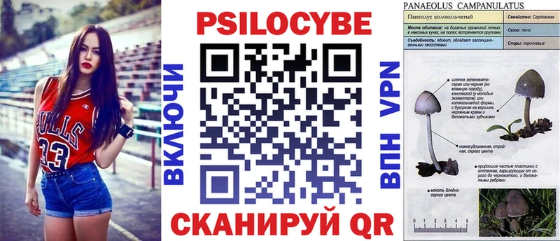Купить закладки  Ялта  Галлюциногенные грибы Psilocybe 